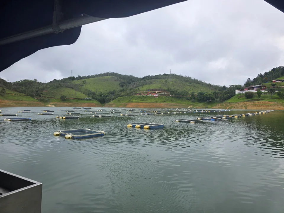 Piscicultura parceira em operação com tanques-rede em lago